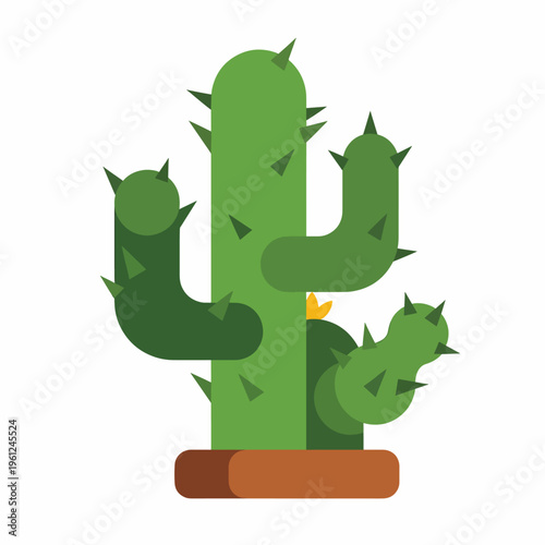 Green cactus plant with sharp spikes.