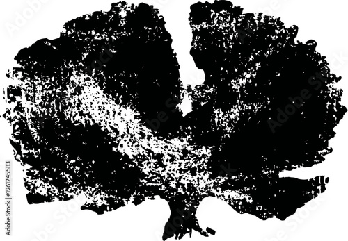 Lichen algae colony silhouette isolated on white mossy botanical growth with textured patterns and natural shape