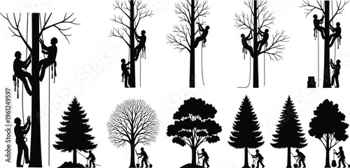 Arborist silhouettes, tree climbing workers, chainsaw trimming illustration, rope harness safety artwork, professional tree care vector, cad drawing flat vector illustration