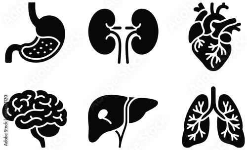 Set of six black silhouette icons representing human internal organs: stomach, kidneys, heart, brain, liver, lungs.