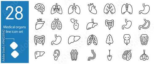 Collection of 28 medical organ line icons, including brain, lungs, heart, stomach, and liver.