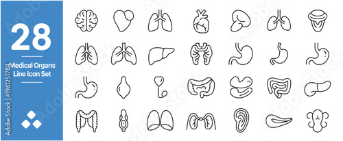 Diverse set of 28 medical organ line icons illustrating human anatomy for healthcare and science.