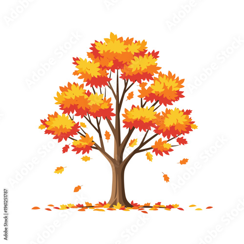 Maple tree shedding colorful leaves on plain white background