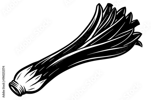 Green onion bunch lying on plain white background line drawing