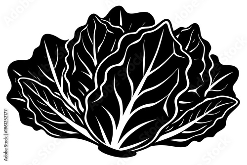 Dark stylized cabbage leaves cluster in monochrome silhouette