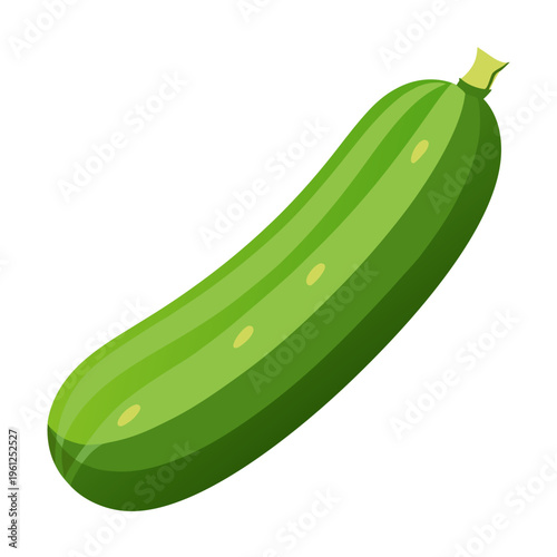 Cucumber displayed elongated with stem on white studio background