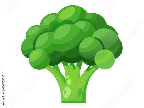 Fresh broccoli head isolated on plain white background