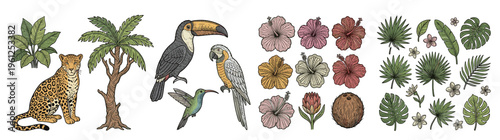 Exotic Tropical Jungle Animals and Botanical Flora Collection with Leopard, Toucan, Hibiscus Flowers, Palm Trees, and Lush Leaves, Hand-Drawn Style, isolated on white for designs.