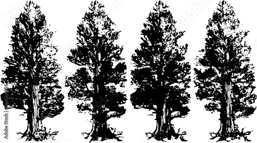 Four detailed black silhouette pine trees with visible branches and roots