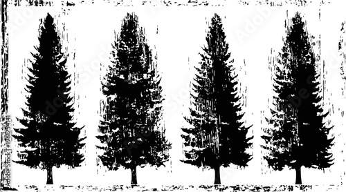 Four detailed silhouette pine trees with textured branches and trunks in a natural forest