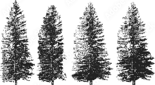 Vintage pine tree silhouettes set four detailed conifer trees with textured branches in black and white