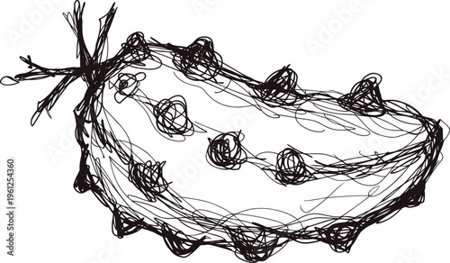 Scribble spiny cucumber sketch abstract hand drawn prickly gourd illustration with textured lines and rough detailing