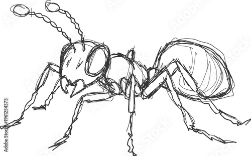 Detailed black and white sketch of an ant with segmented body and antennae in side view