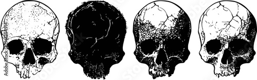 Set of four detailed human skull illustrations in black and white vintage