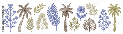 Hand drawn tropical botanical collection featuring vintage block print style palm trees floral branches and olive green leaves graphic illustration isolated on white background for design