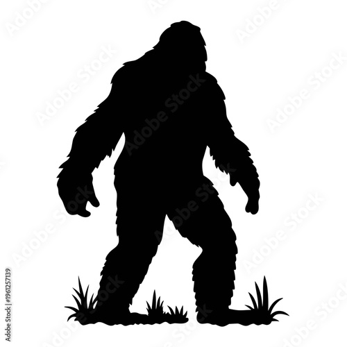 Bigfoot silhouette vector illustration: sasquatch walking through grass, cryptozoology legend art