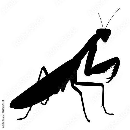 Praying mantis silhouette vector illustration for insect lovers and nature enthusiasts graphic design projects