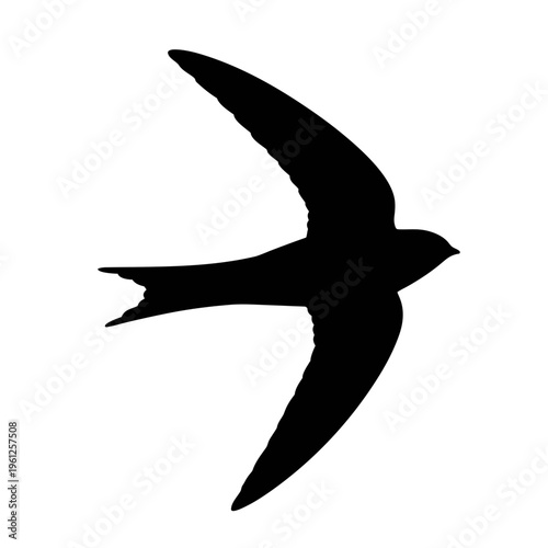 Black swift bird silhouette in flight vector art for ornithology and nature enthusiasts artwork