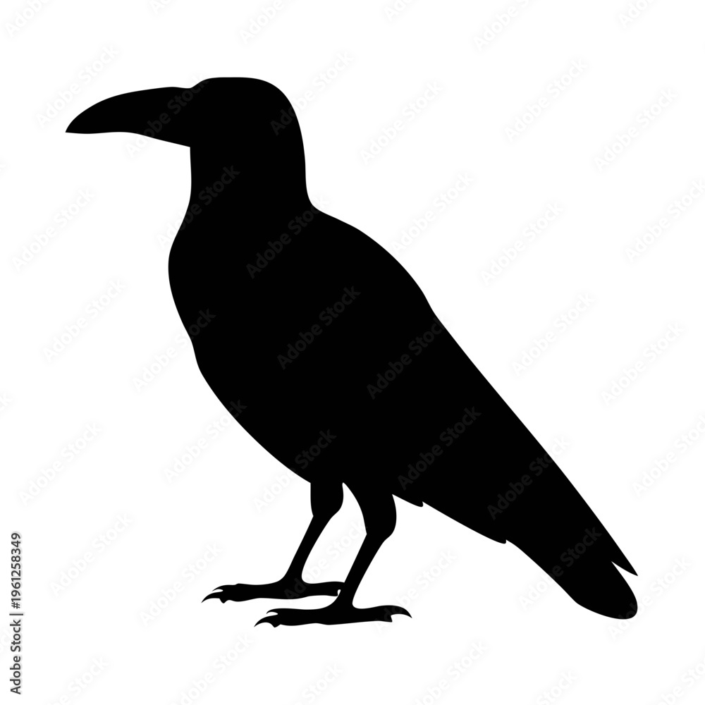 Obraz premium Black crow silhouette vector illustration of a raven bird standing on a white background image