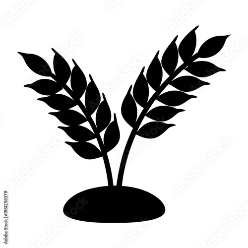 Discover black wheat plants vector illustration for agriculture and farming design needs today now online
