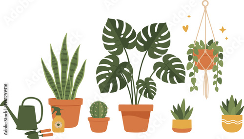 Collection of potted houseplants and gardening tools for indoor plant care.