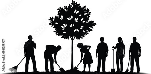 Silhouettes of community volunteers planting a large tree together using shovels and rakes for environmental conservation and urban gardening project
