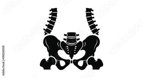 Anatomical illustration of a human pelvis distinctly shown as a silhouette