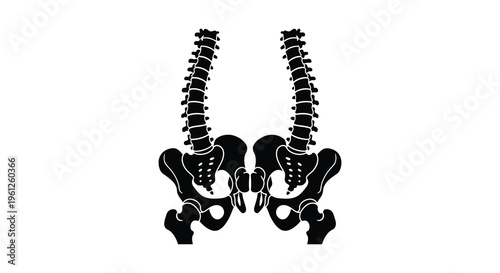 Anatomical illustration of spinal column and pelvis stark black silhouette