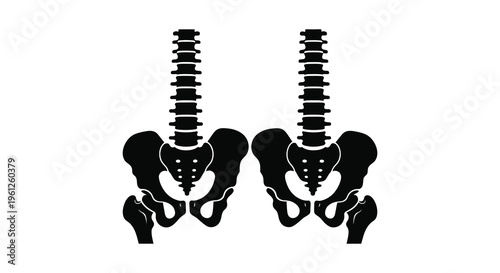 Two black spine and pelvis silhouettes against a white background silhouette