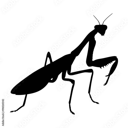 Silhouette praying mantis vector illustration of insect predator for graphic design projects and art