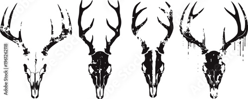 Set of four black and white deer skulls with antlers in grunge silhouette
