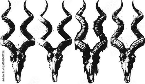 Four stylized black and white antelope skull illustrations with twisted spiral horns in vector line art