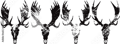 deer skulls with antlers in black and white textured silhouette set animal skull design for art and decoration