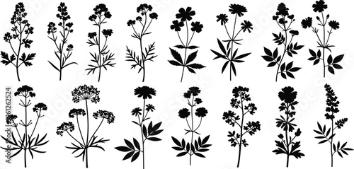 A high-quality stock photo capturing a professional business meeting where diverse colleagues collaborate around a laptop in a modern sunlit office space