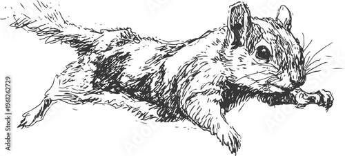 leaping chipmunk illustration small wild rodent in mid jump with detailed fur and claws