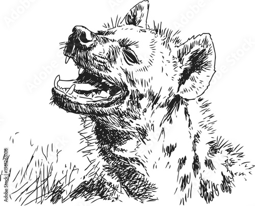Hand drawn hyena portrait with open mouth and expressive face in natural detailed sketch