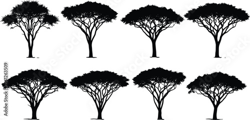 A high-quality stock photo capturing a professional business meeting where diverse colleagues collaborate around a laptop in a modern sunlit office space