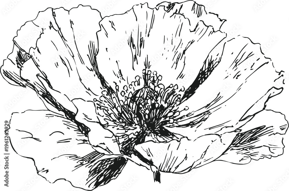 Naklejka premium detailed black and white poppy flower illustration with delicate petals and intricate stamen design
