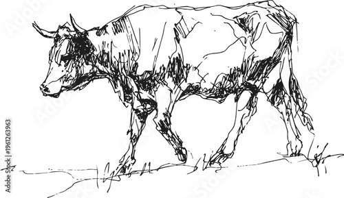 Sketch of a walking cow with loose, expressive lines on white background