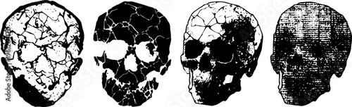 Cracked ancient skulls illustration showing front, back, and side views in vintage lines