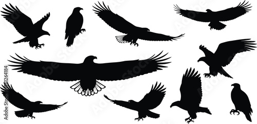 A high-quality stock photo capturing a professional business meeting where diverse colleagues collaborate around a laptop in a modern sunlit office space