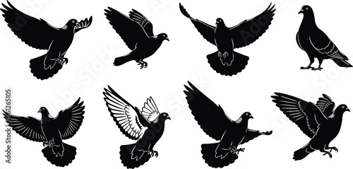 A high-quality stock photo capturing a professional business meeting where diverse colleagues collaborate around a laptop in a modern sunlit office space