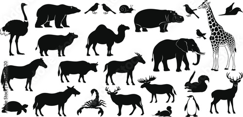 A high-quality stock photo capturing a professional business meeting where diverse colleagues collaborate around a laptop in a modern sunlit office space