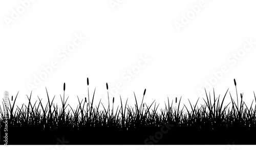 Photos A minimalist black silhouette of grass and cattails on a white background