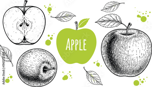 Apple illustration set with engraving and modern flat elements. Hand drawn fruits with leaves and splashes. Perfect for packaging, branding and organic food design.