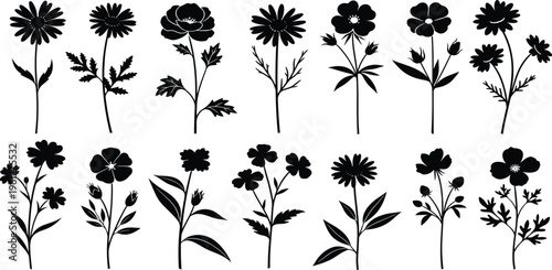 A high-resolution stock photo featuring a diverse group of creative professionals collaborating on a digital project in a bright modern workspace