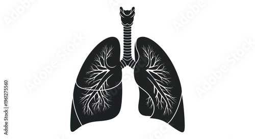 Detailed illustration of human lungs showcasing intricate anatomy silhouette