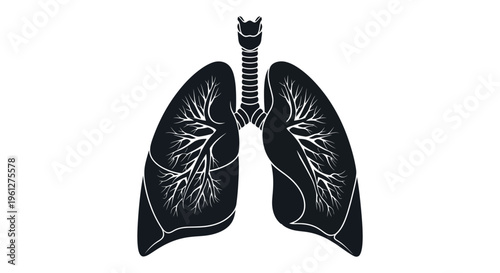 Detailed human lungs illustration in black a striking silhouette