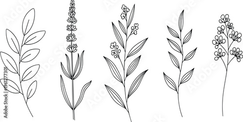 A high-resolution stock photo featuring a diverse group of creative professionals collaborating on a digital project in a bright modern workspace