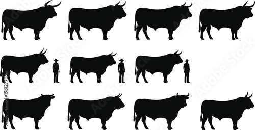 Black bull silhouette collection with rancher figures and various cattle horn shapes isolated on white background for livestock farming vector design